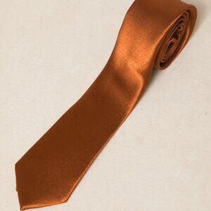 Ivy City Co. Men's Max Tie in Amber Satin! NWT!